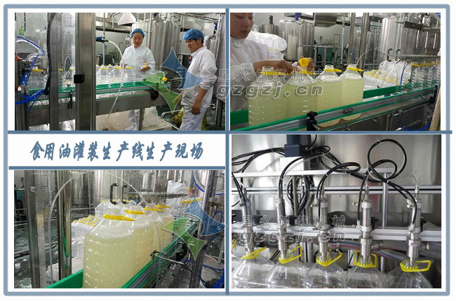 稻胚油包裝生產(chǎn)線客戶案例