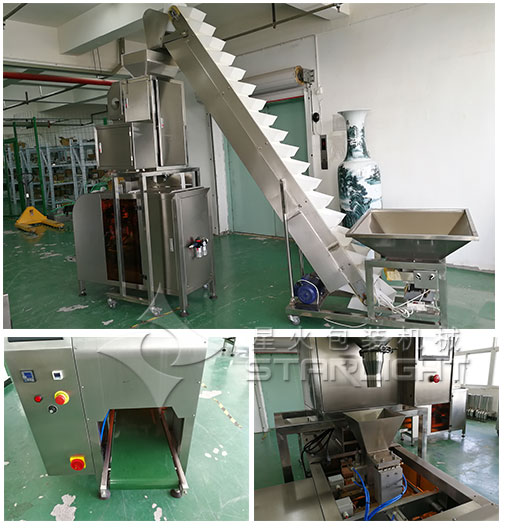 全套自動化瓜子仁包裝生產(chǎn)線/全自動瓜子仁包裝機械設備

 