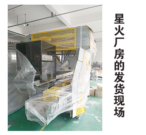全自動雞汁包裝生產(chǎn)線
 